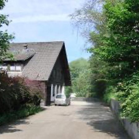 Ferienwohnungen Seeblick Unterkirnach Luaran gambar