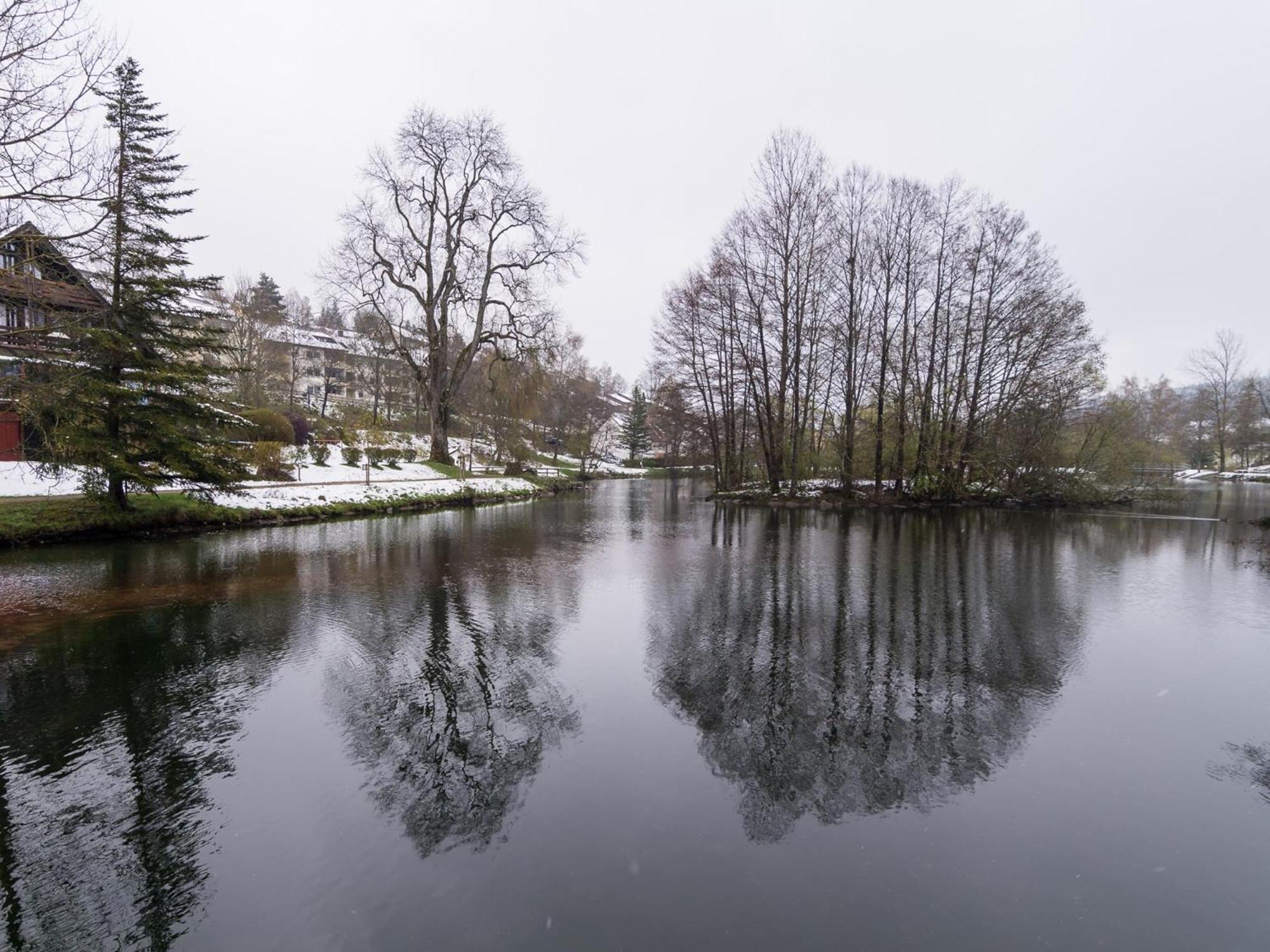 Ferienwohnungen Seeblick Unterkirnach Luaran gambar