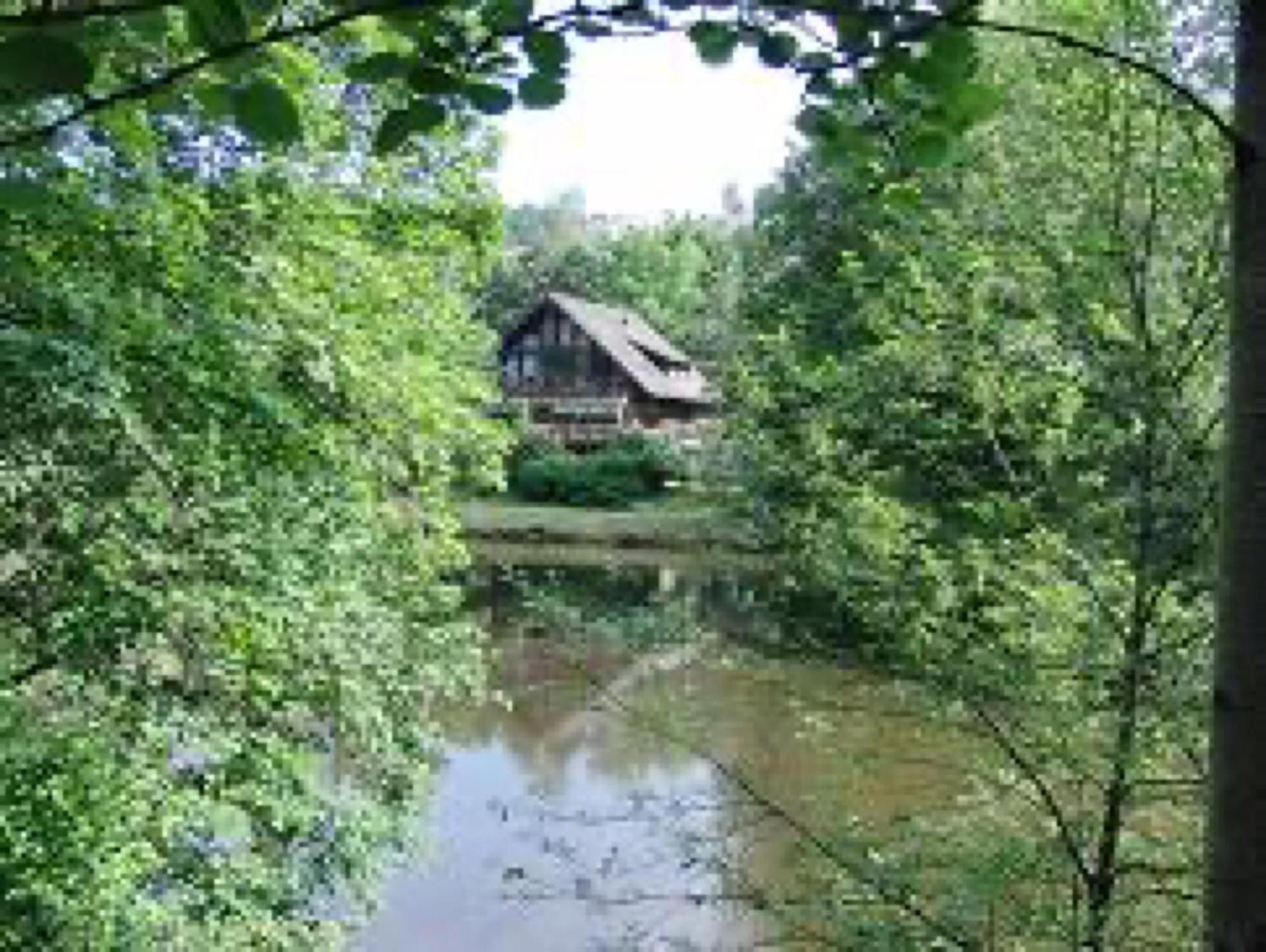 Ferienwohnungen Seeblick Unterkirnach Luaran gambar