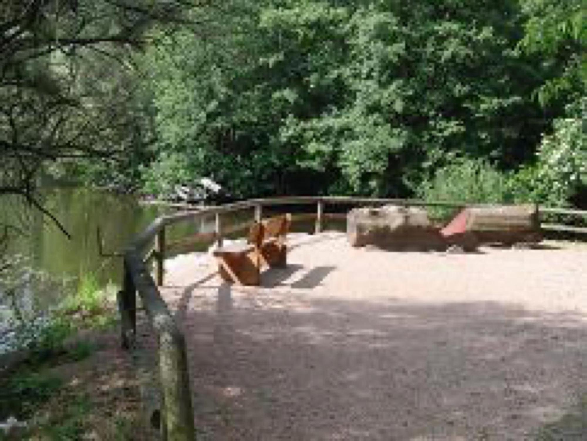 Ferienwohnungen Seeblick Unterkirnach Luaran gambar