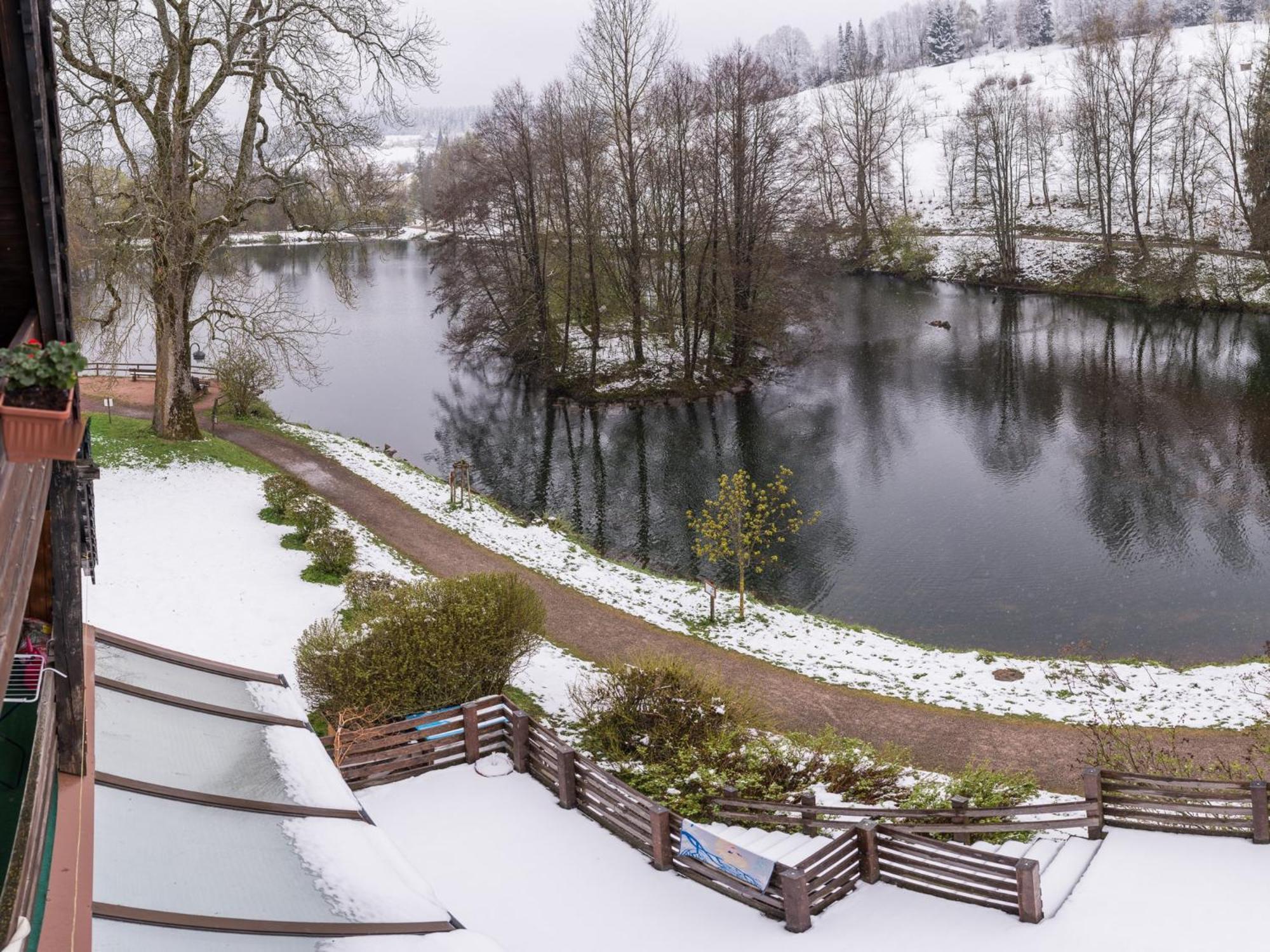 Ferienwohnungen Seeblick Unterkirnach Luaran gambar